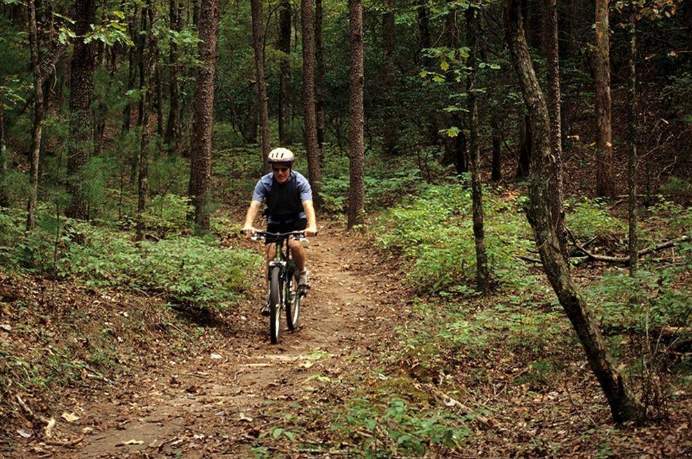Unicoi State Park & Lodge Helen Dış mekan fotoğraf